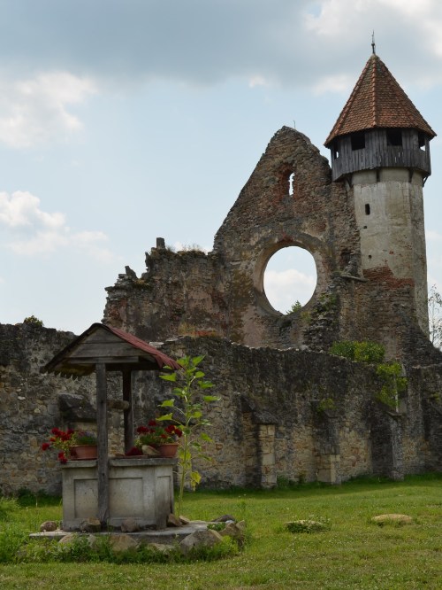 Manastirea Cisterciana Carta