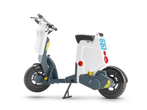 Three Quarters Back low res